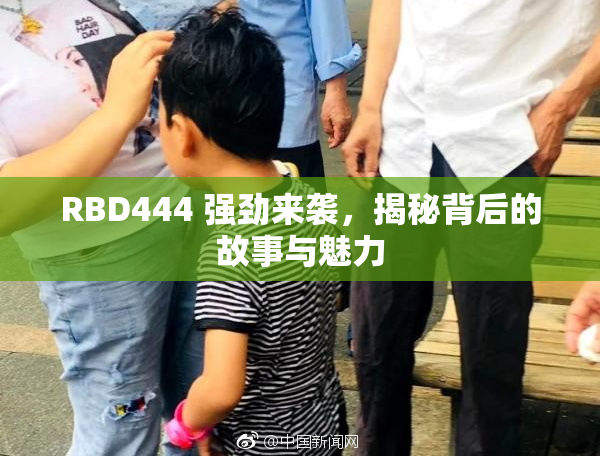 RBD444 强劲来袭，揭秘背后的故事与魅力