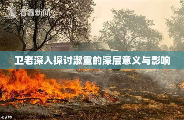 卫老深入探讨淑重的深层意义与影响