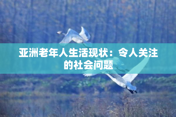 亚洲老年人生活现状：令人关注的社会问题