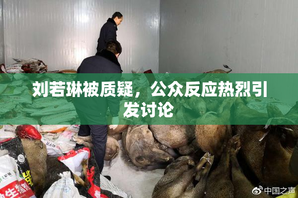 刘若琳被质疑，公众反应热烈引发讨论