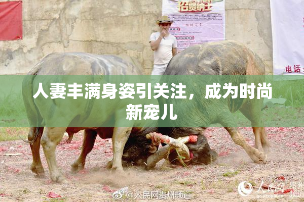 人妻丰满身姿引关注，成为时尚新宠儿