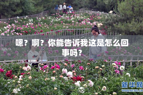 嗯？啊？你能告诉我这是怎么回事吗？