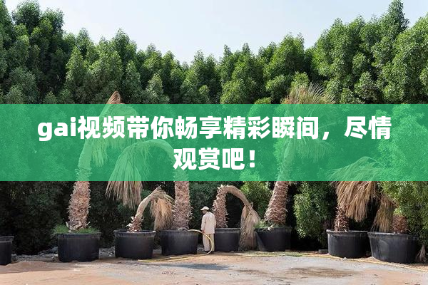 gai视频带你畅享精彩瞬间，尽情观赏吧！