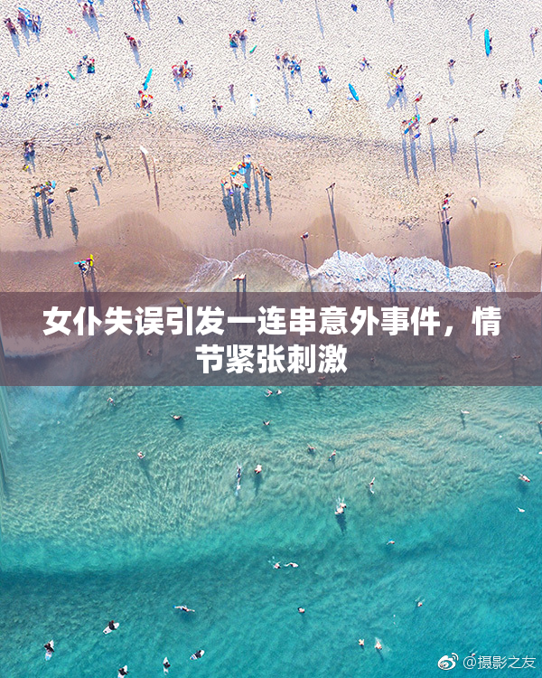 女仆失误引发一连串意外事件，情节紧张刺激