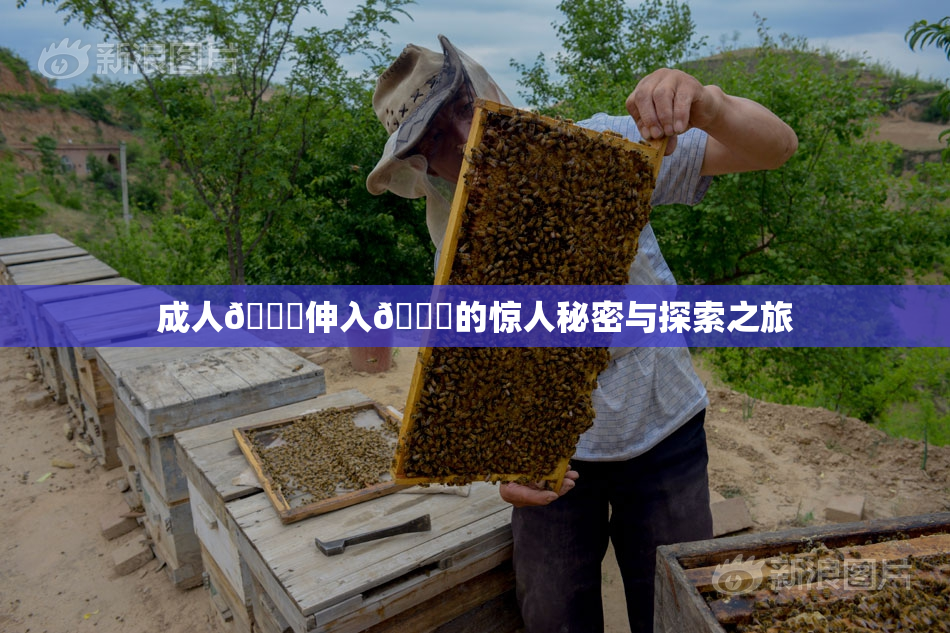 成人🍆伸入🍑的惊人秘密与探索之旅