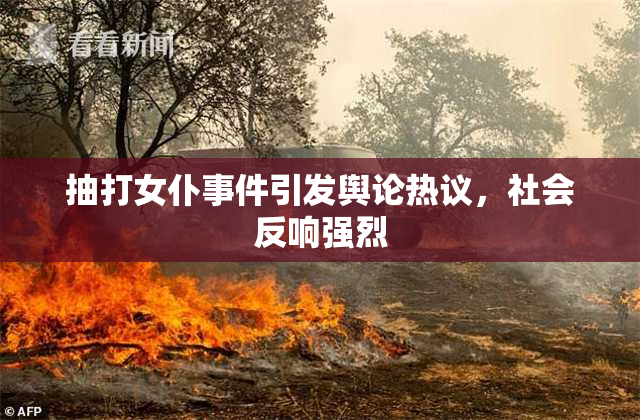 抽打女仆事件引发舆论热议，社会反响强烈
