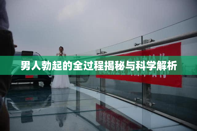 男人勃起的全过程揭秘与科学解析
