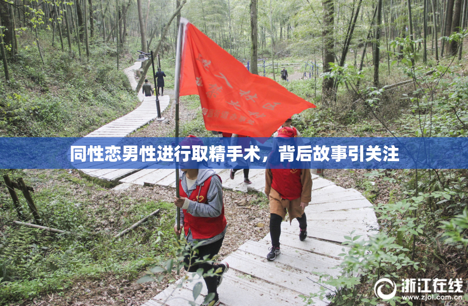 同性恋男性进行取精手术，背后故事引关注
