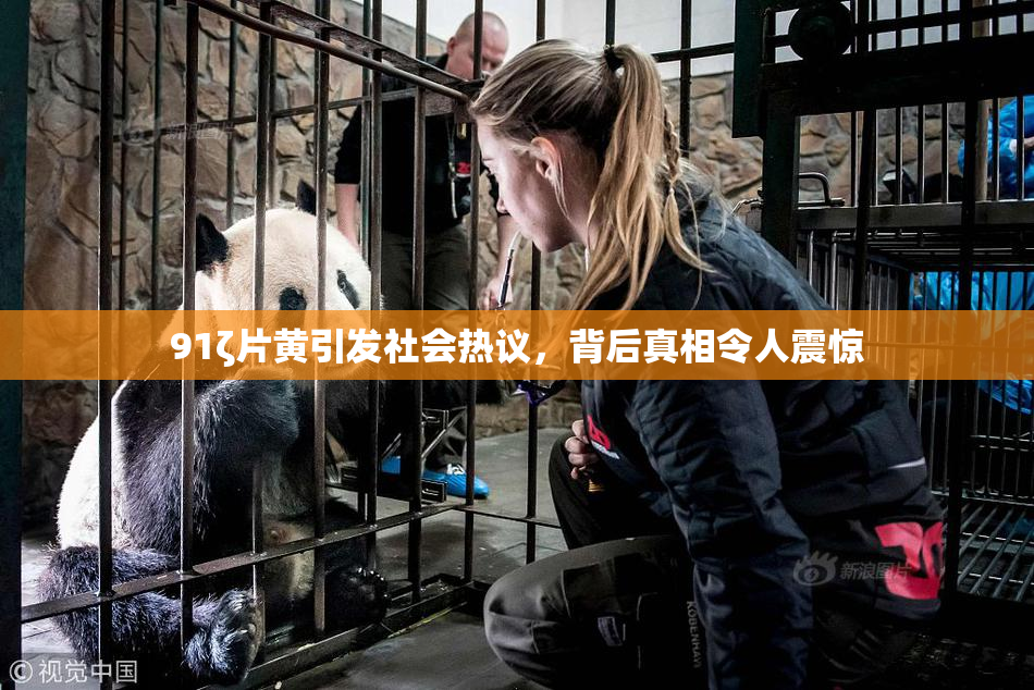 91ζ片黄引发社会热议，背后真相令人震惊