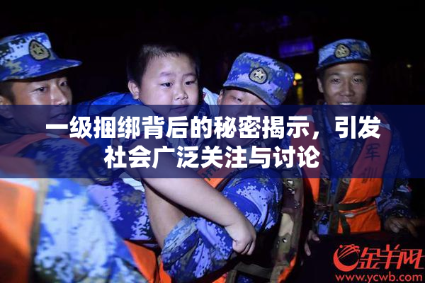 一级捆绑背后的秘密揭示，引发社会广泛关注与讨论
