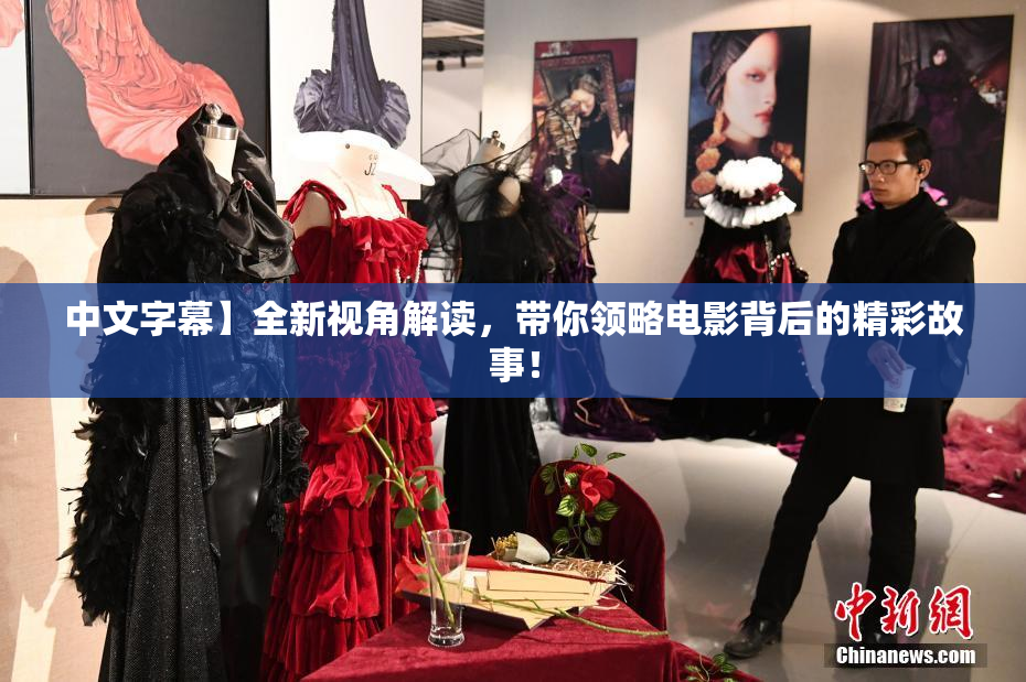 中文字幕】全新视角解读，带你领略电影背后的精彩故事！
