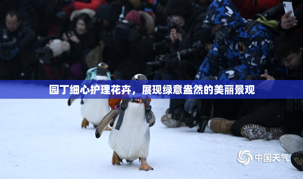 园丁细心护理花卉，展现绿意盎然的美丽景观