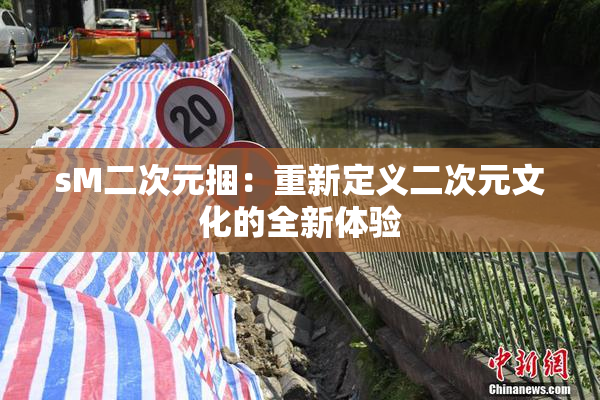sM二次元捆：重新定义二次元文化的全新体验