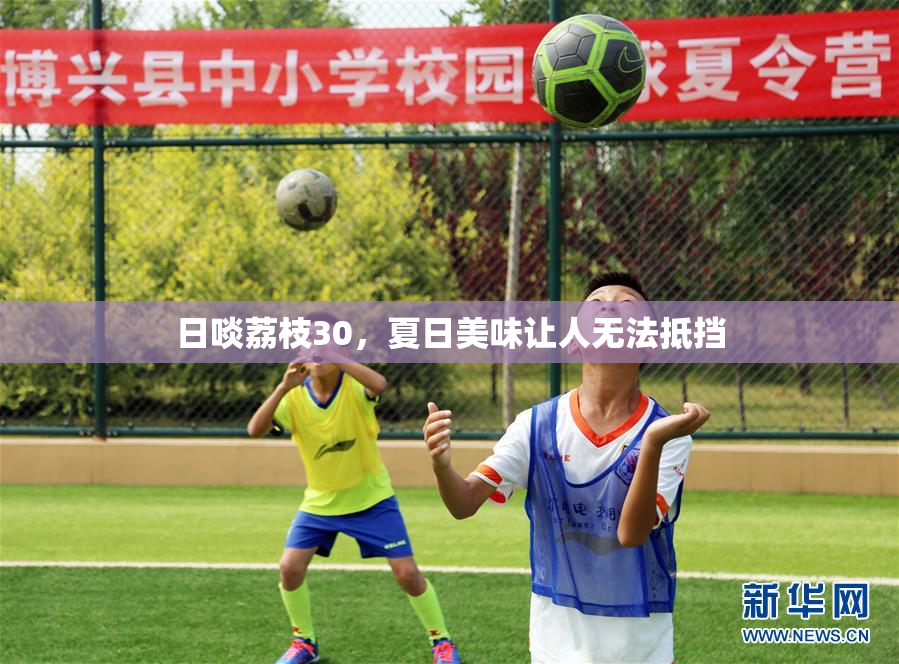 日啖荔枝30，夏日美味让人无法抵挡