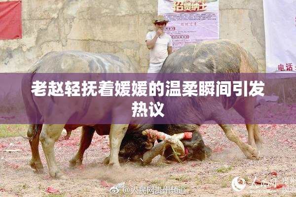 老赵轻抚着媛媛的温柔瞬间引发热议