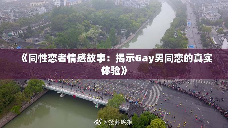 《同性恋者情感故事：揭示Gay男同恋的真实体验》