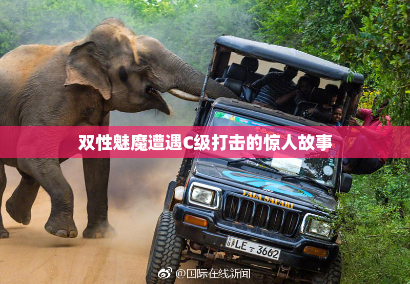 双性魅魔遭遇C级打击的惊人故事