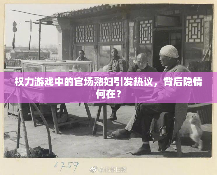 权力游戏中的官场熟妇引发热议，背后隐情何在？