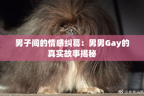 男子间的情感纠葛：男男Gay的真实故事揭秘