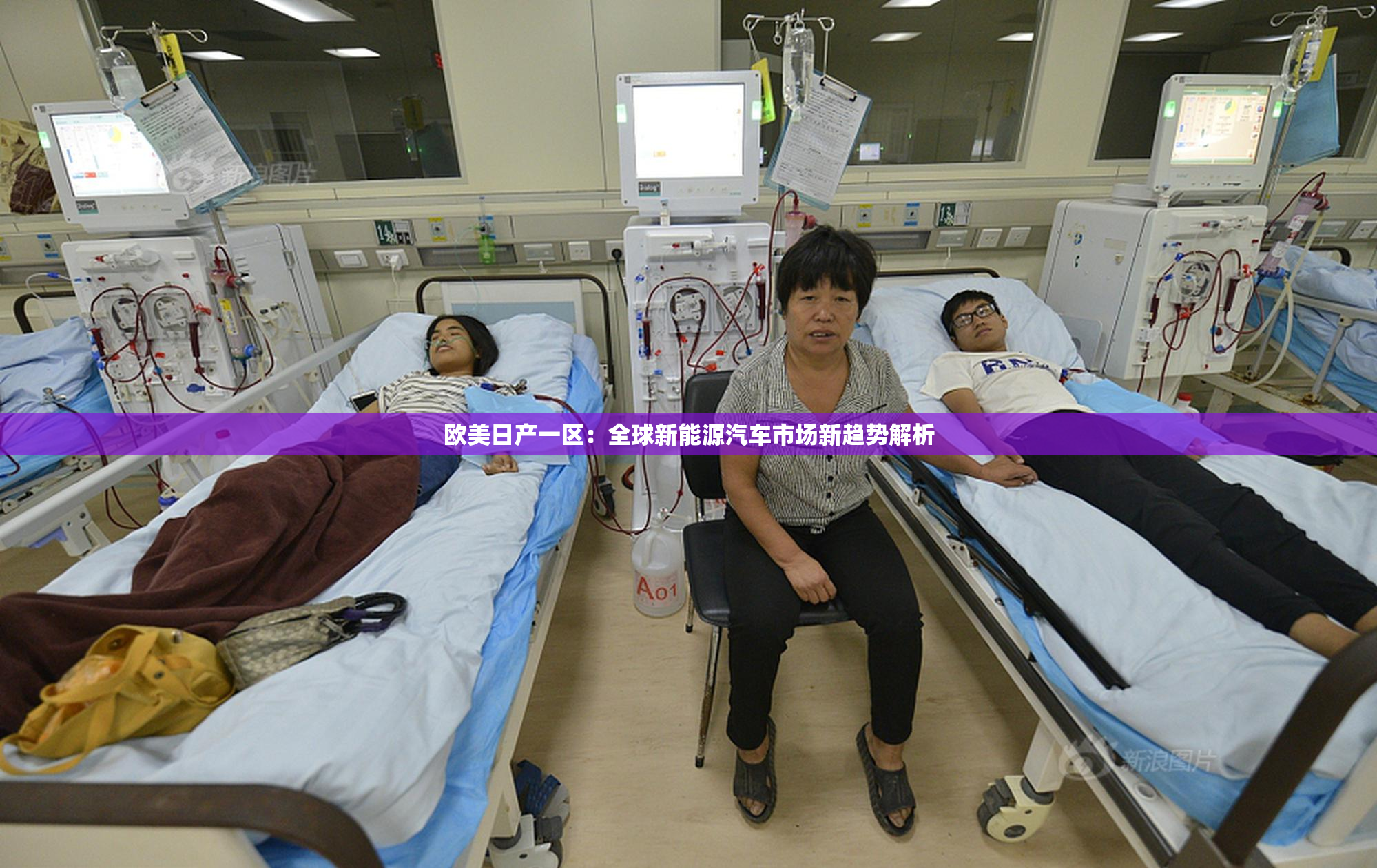 欧美日产一区：全球新能源汽车市场新趋势解析