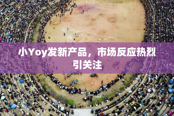 小Yoy发新产品，市场反应热烈引关注