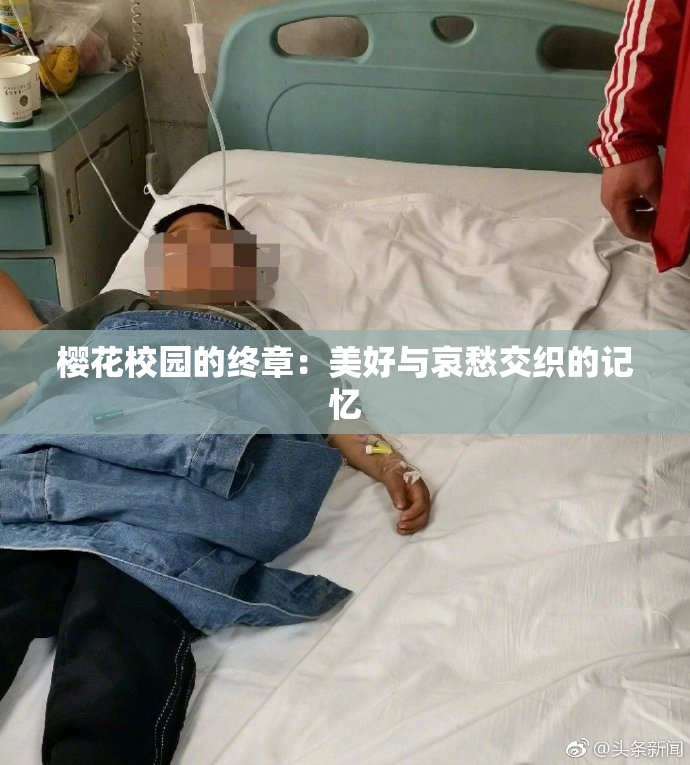樱花校园的终章：美好与哀愁交织的记忆