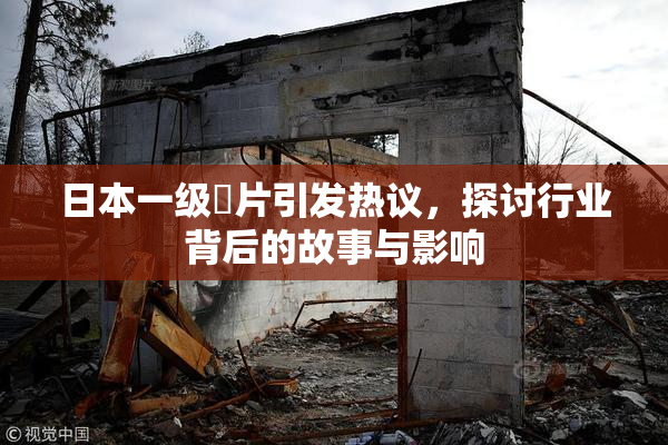 日本一级婬片引发热议，探讨行业背后的故事与影响