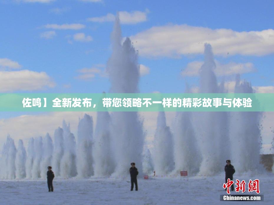 佐鸣】全新发布，带您领略不一样的精彩故事与体验