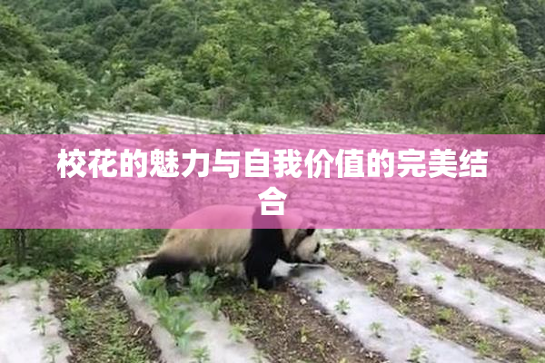 校花的魅力与自我价值的完美结合