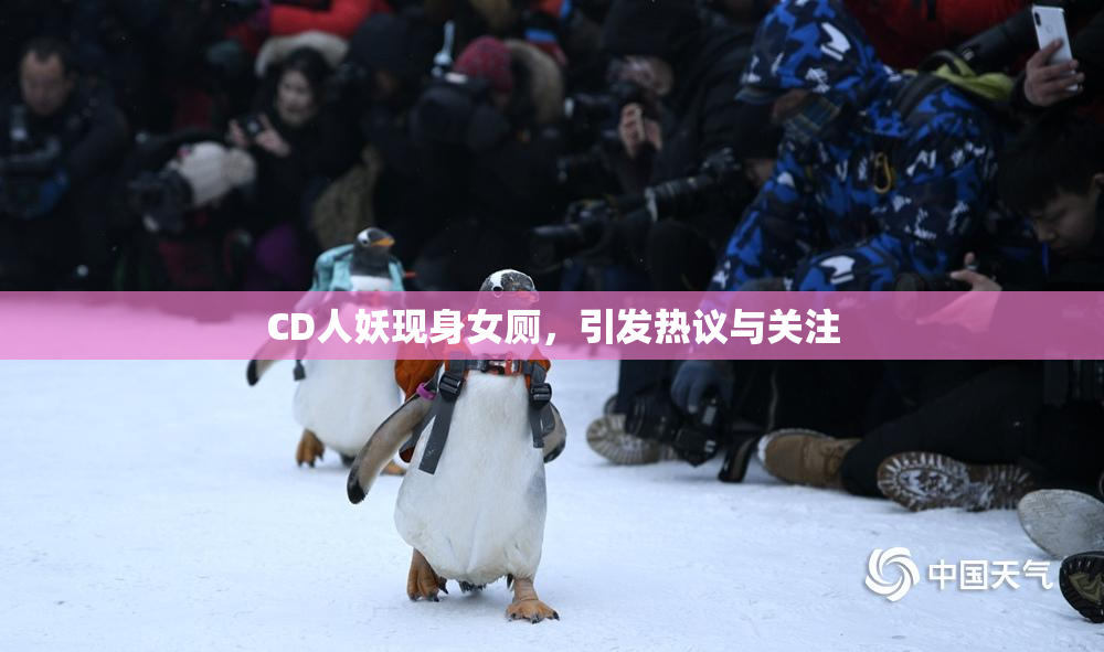 CD人妖现身女厕，引发热议与关注