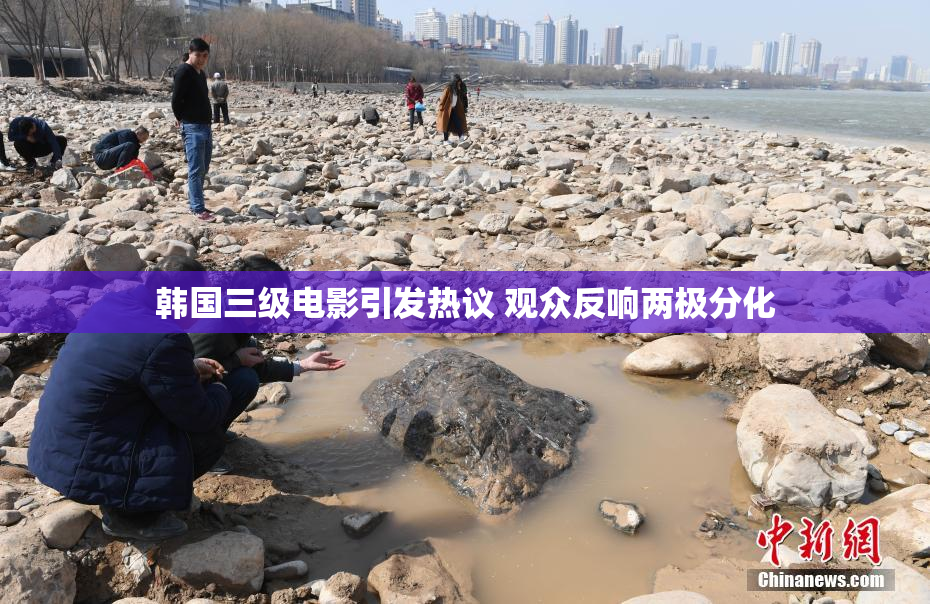 韩国三级电影引发热议 观众反响两极分化