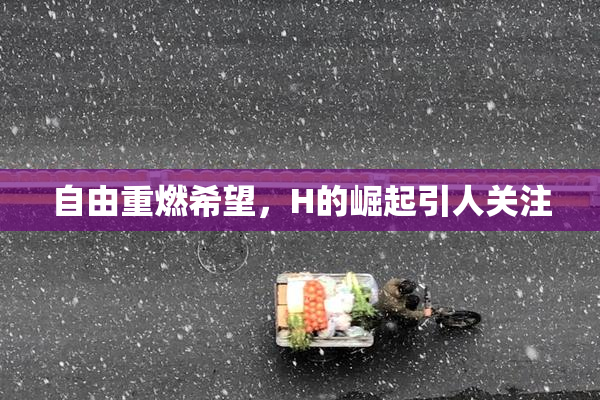 自由重燃希望，H的崛起引人关注