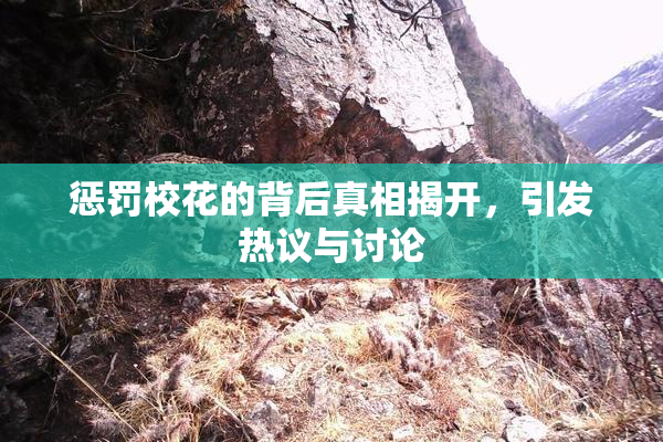 惩罚校花的背后真相揭开，引发热议与讨论