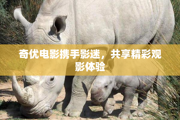 奇优电影携手影迷，共享精彩观影体验