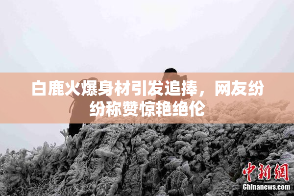 白鹿火爆身材引发追捧，网友纷纷称赞惊艳绝伦