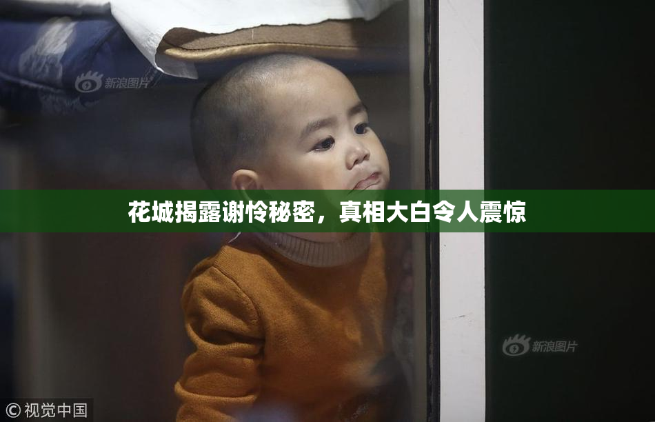 花城揭露谢怜秘密，真相大白令人震惊