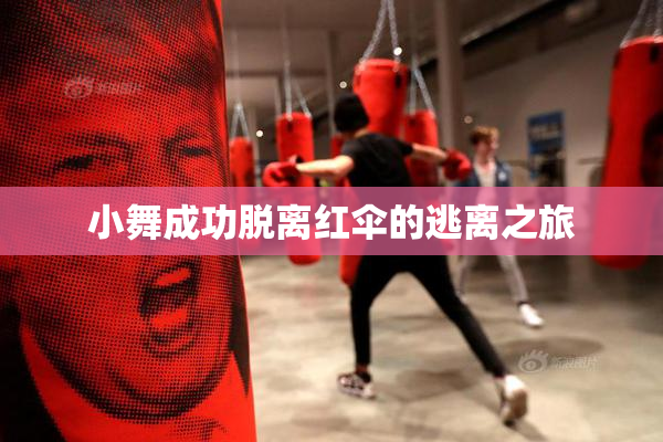 小舞成功脱离红伞的逃离之旅