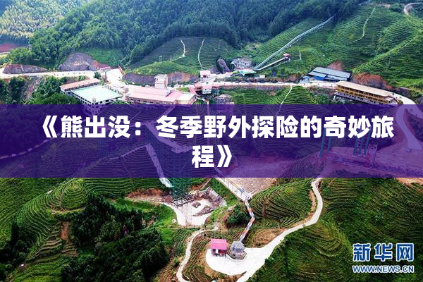 《熊出没：冬季野外探险的奇妙旅程》