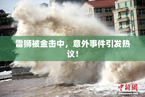 雷狮被金击中，意外事件引发热议！