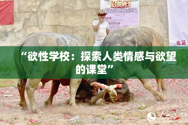 “欲性学校：探索人类情感与欲望的课堂”