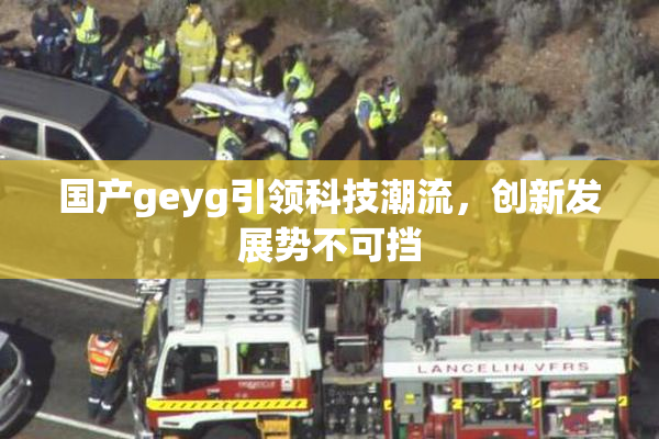 国产geyg引领科技潮流，创新发展势不可挡