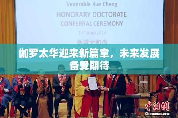 伽罗太华迎来新篇章，未来发展备受期待