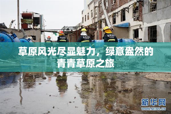 草原风光尽显魅力，绿意盎然的青青草原之旅