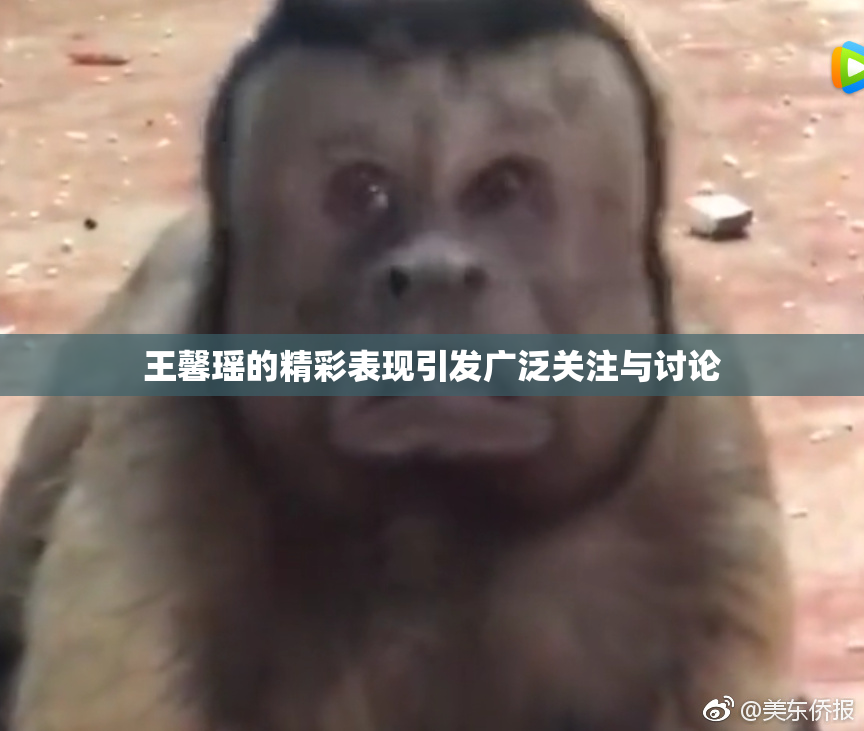 王馨瑶的精彩表现引发广泛关注与讨论