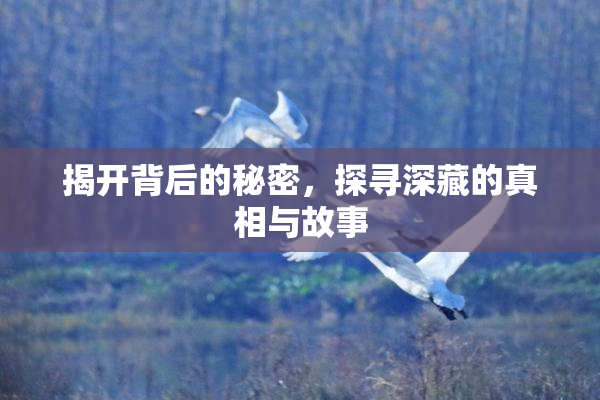 揭开背后的秘密，探寻深藏的真相与故事