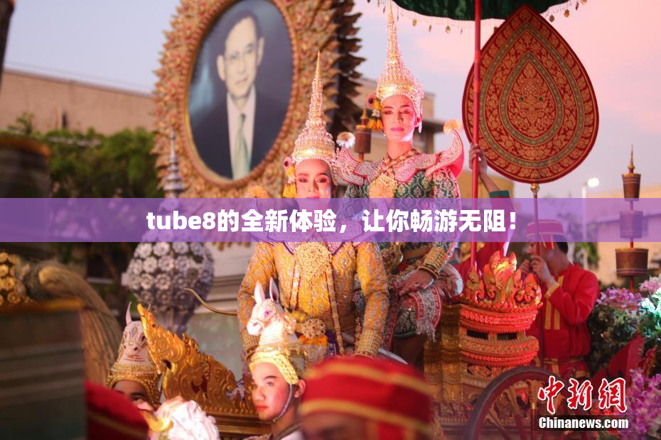 tube8的全新体验，让你畅游无阻！