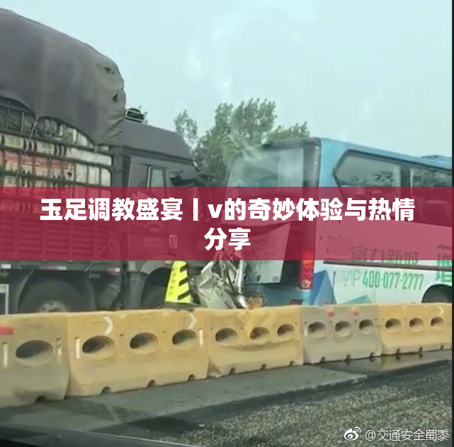 玉足调教盛宴丨v的奇妙体验与热情分享