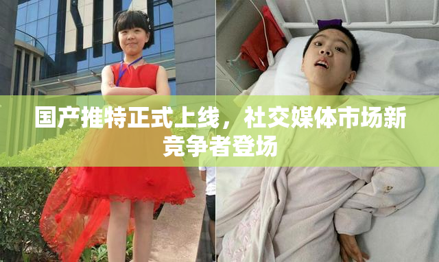 国产推特正式上线，社交媒体市场新竞争者登场