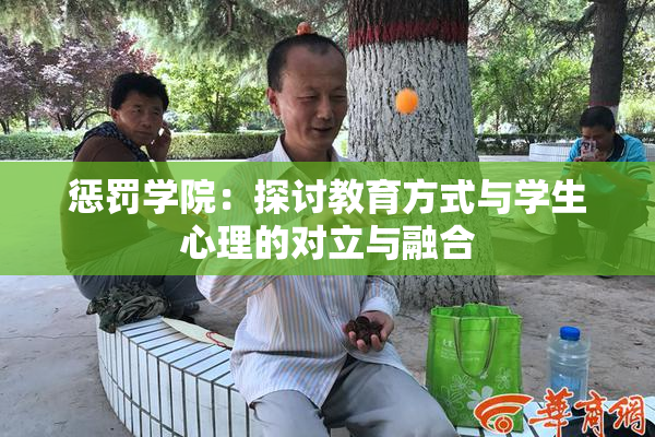 惩罚学院：探讨教育方式与学生心理的对立与融合