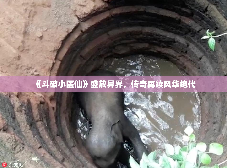 《斗破小医仙》盛放异界，传奇再续风华绝代